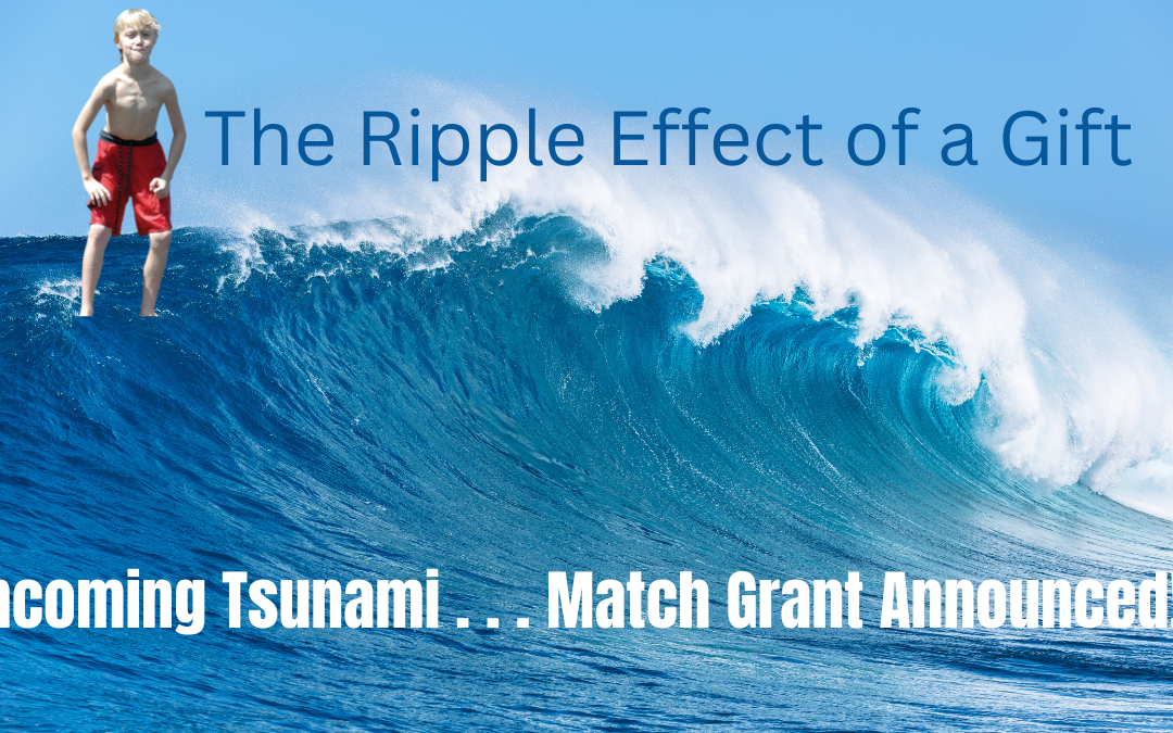Create a Wave of Impact With Your Support